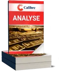 Calibre Mining Analyse