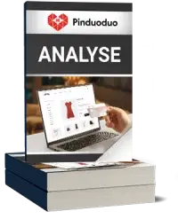 Pinduoduo Analyse