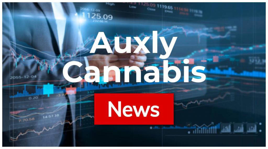 Auxly Cannabis: Erfreuliche Ereignisse!