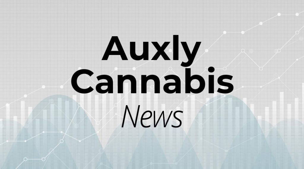 Auxly Cannabis: Anleger werden sich richtig freuen!