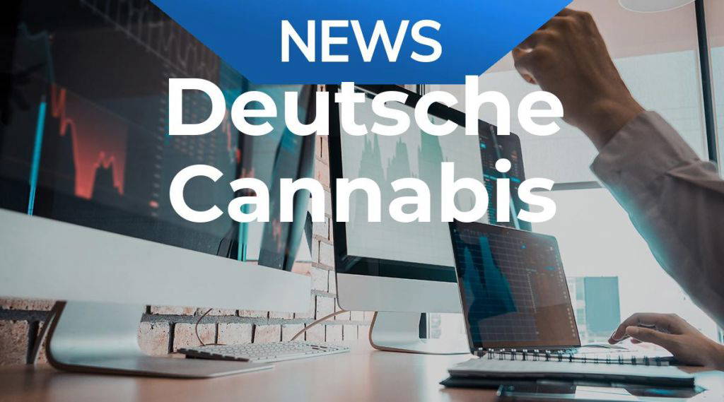 Deutsche Cannabis Aktie: Der Kurs sendet Alarmsignale!