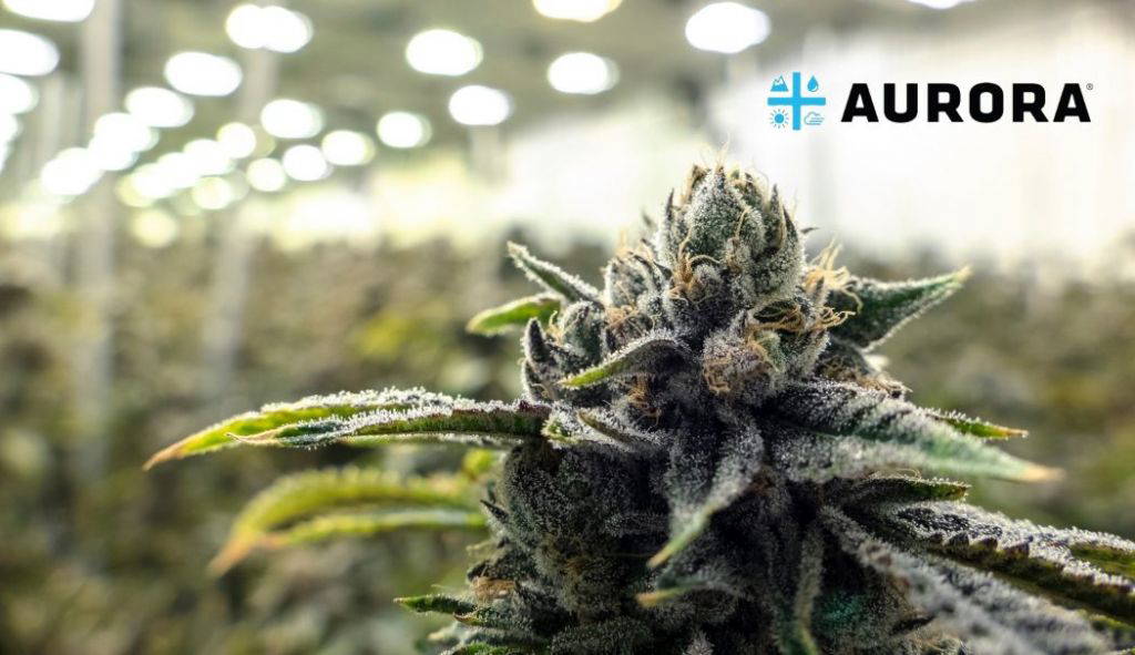 Aurora Cannabis