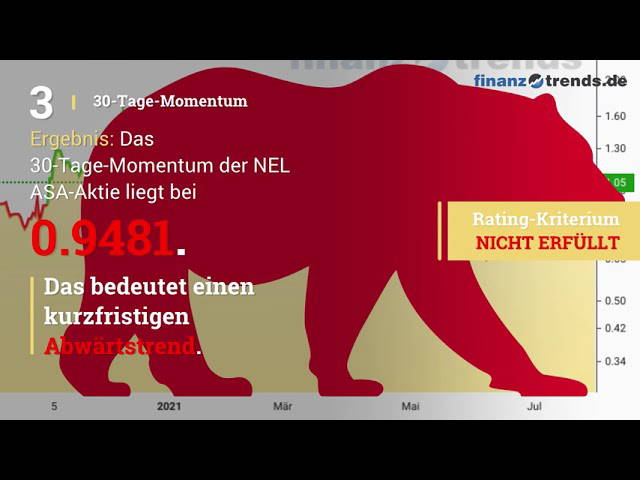 Nel ASA: Warnende Worte an die Analysten