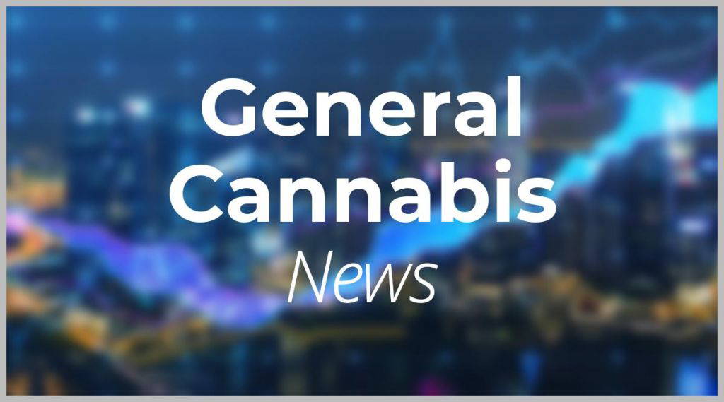 General Cannabis: Das ist der nächste Hammer!