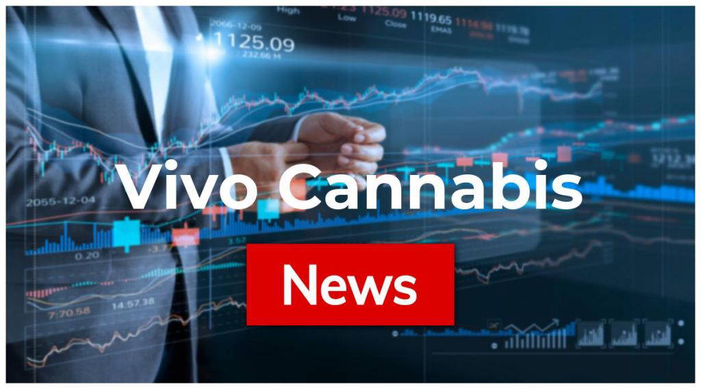 Vivo Cannabis: Aus und vorbei!