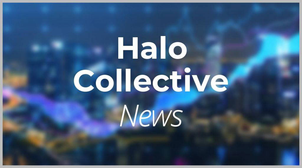 Halo Collective Aktie: Das kann einfach nicht wahr sein