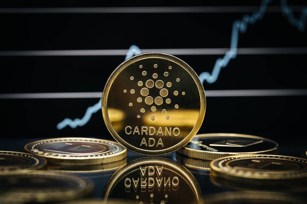 Cardano Sollten Sie die jetzt kaufen