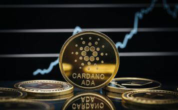 Cardano Sollten Sie die jetzt kaufen