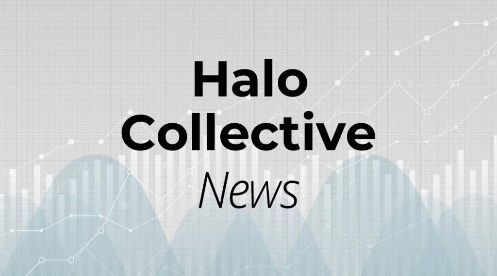 Halo Collective Aktie: Es zeichnet sich ein klares Meinungsbild ab!