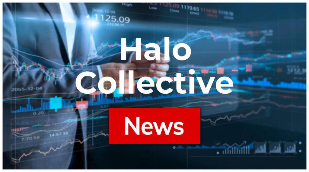 Halo Collective-Aktie: Dieser Crash hat es in sich!