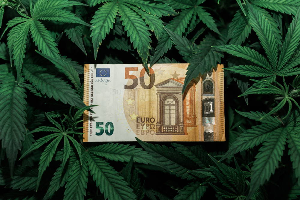 Canopy Growth-Aktie: Hü und hott – wann kommen neue Impulse?