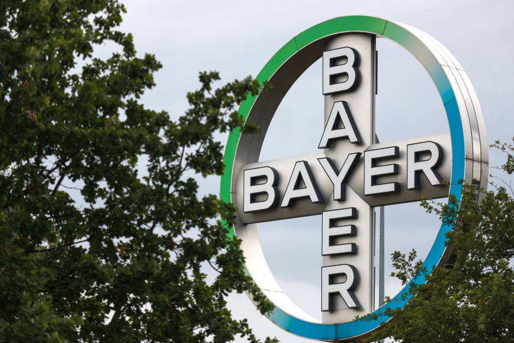 bayer