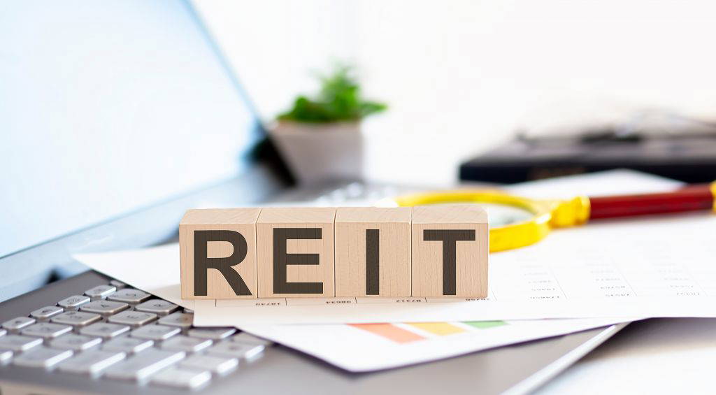 Monatliche Dividende durch REITs!