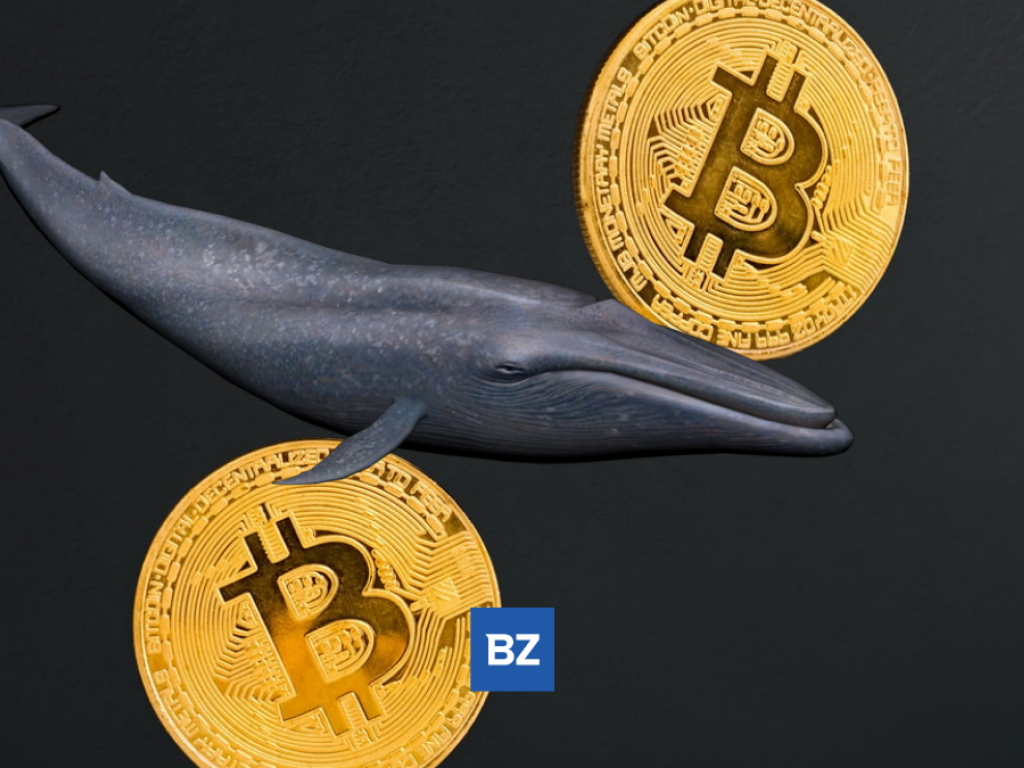 Bitcoin: 22 Millionen Dollar an Kraken geschickt!