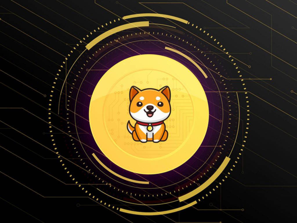 Baby Dogecoin: BABYDOGE übertrifft Top-Meme-Münzen!