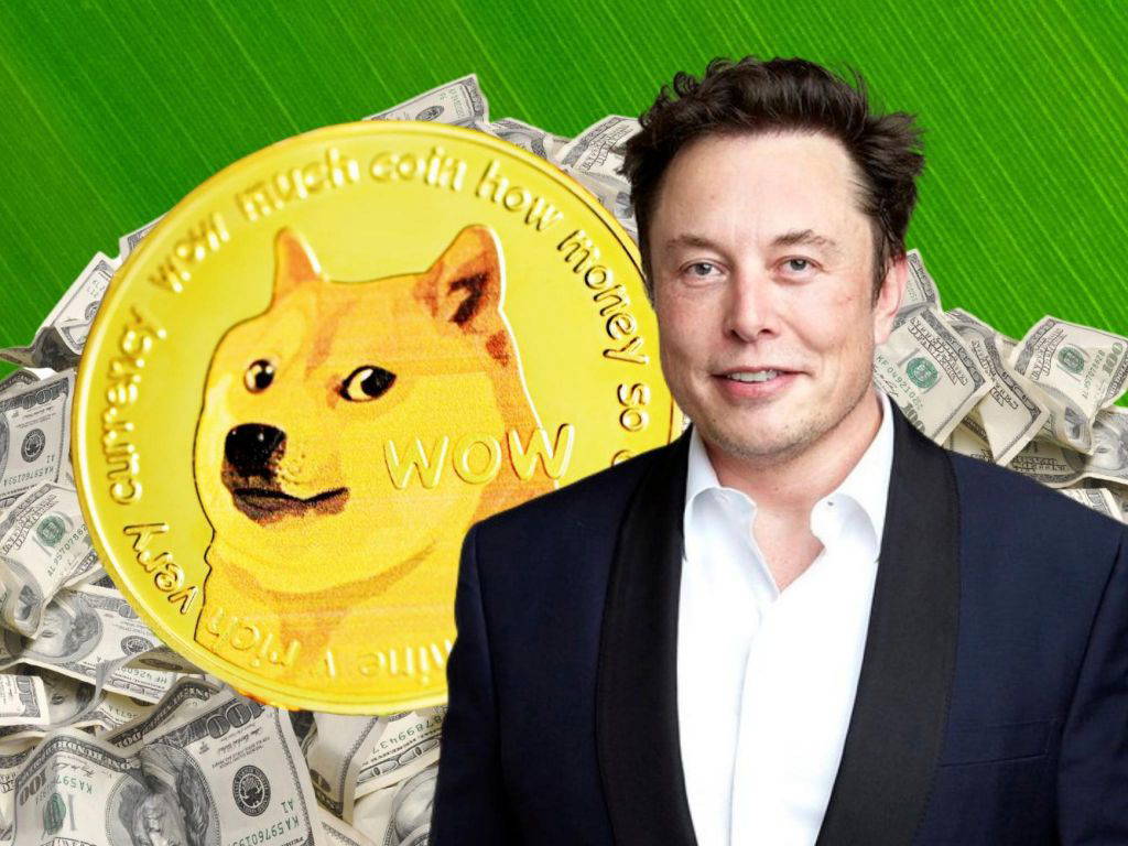 Dogecoin: Wie viel haben Investoren verdient?