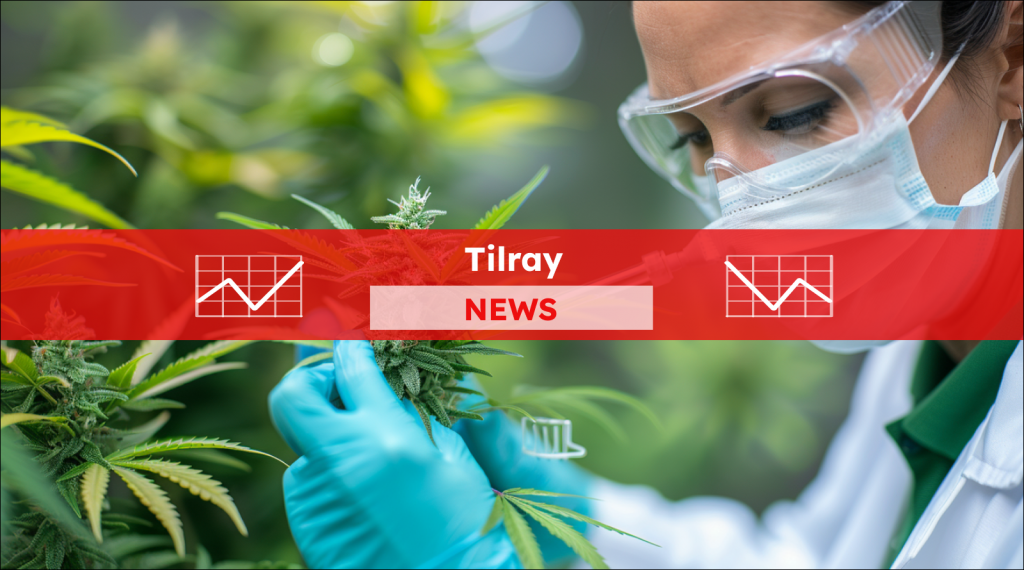 Cannabis in der Hand eines Wissenschaftlers, mit einem Tilray NEWS Banner.