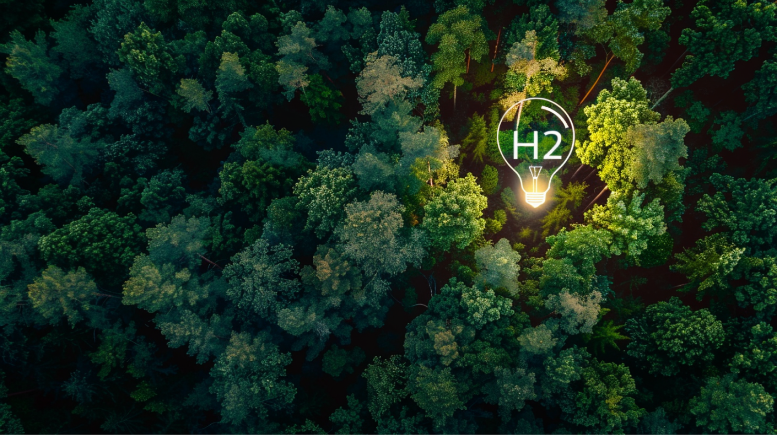 eine Luftaufnahme eines Waldes mit einer glühbirnenförmigen Lichtung, markiert mit H2