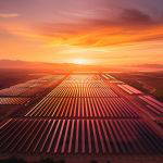 Sonnenuntergang über Solarpark