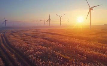 Windpark bei Sonnenuntergang