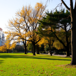 Park mit Herbstlaub und Blick auf das Finanzviertel der Stadt